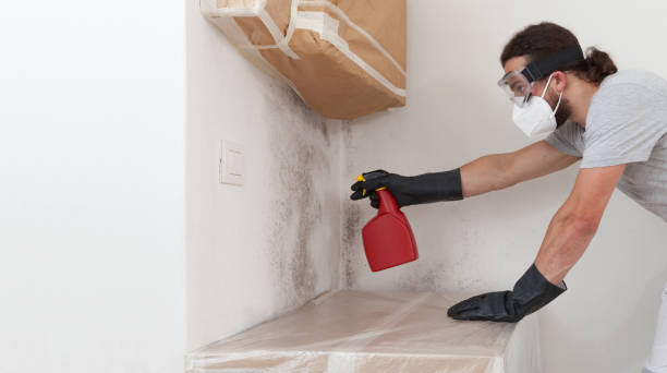 Professional Attic Mold Remediation technician working in Randallstown, MD